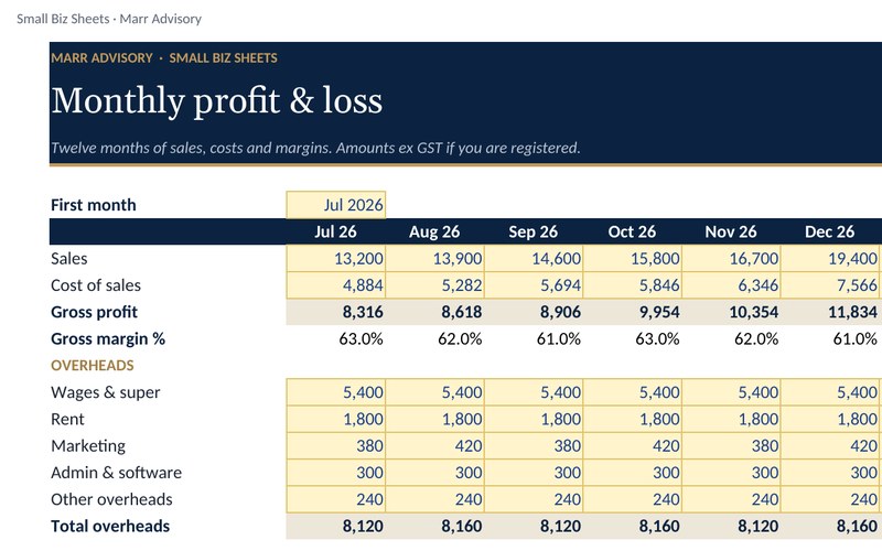 Preview of the Monthly profit & loss spreadsheet